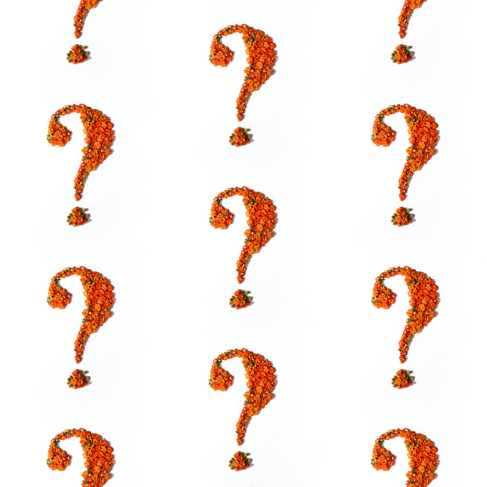 An image of many orange flowers forming a question mark on a white background.