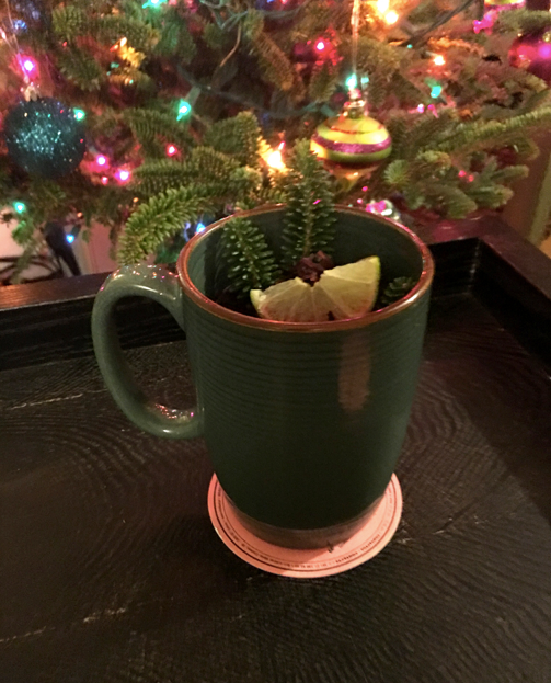 Curious Winter No. 1 :: Hot Hibiscus Toddy
