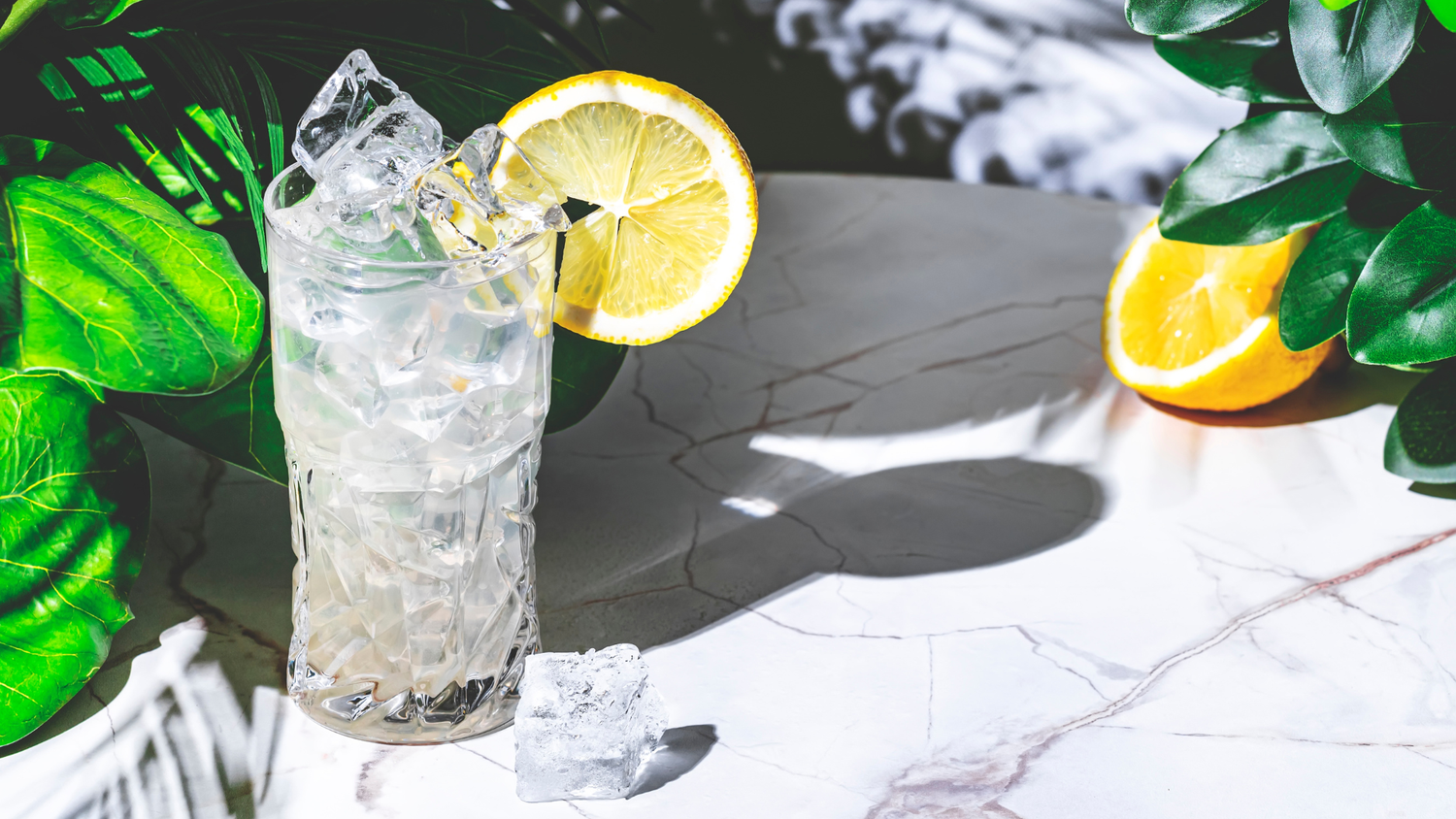 A chilled nonalcoholic gin cocktail with ice and a fresh lemon garnish.
