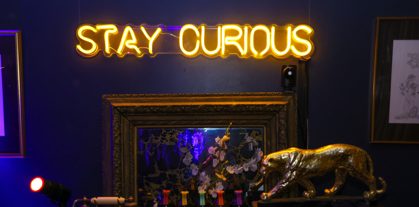 The Top Curiosities of 2025