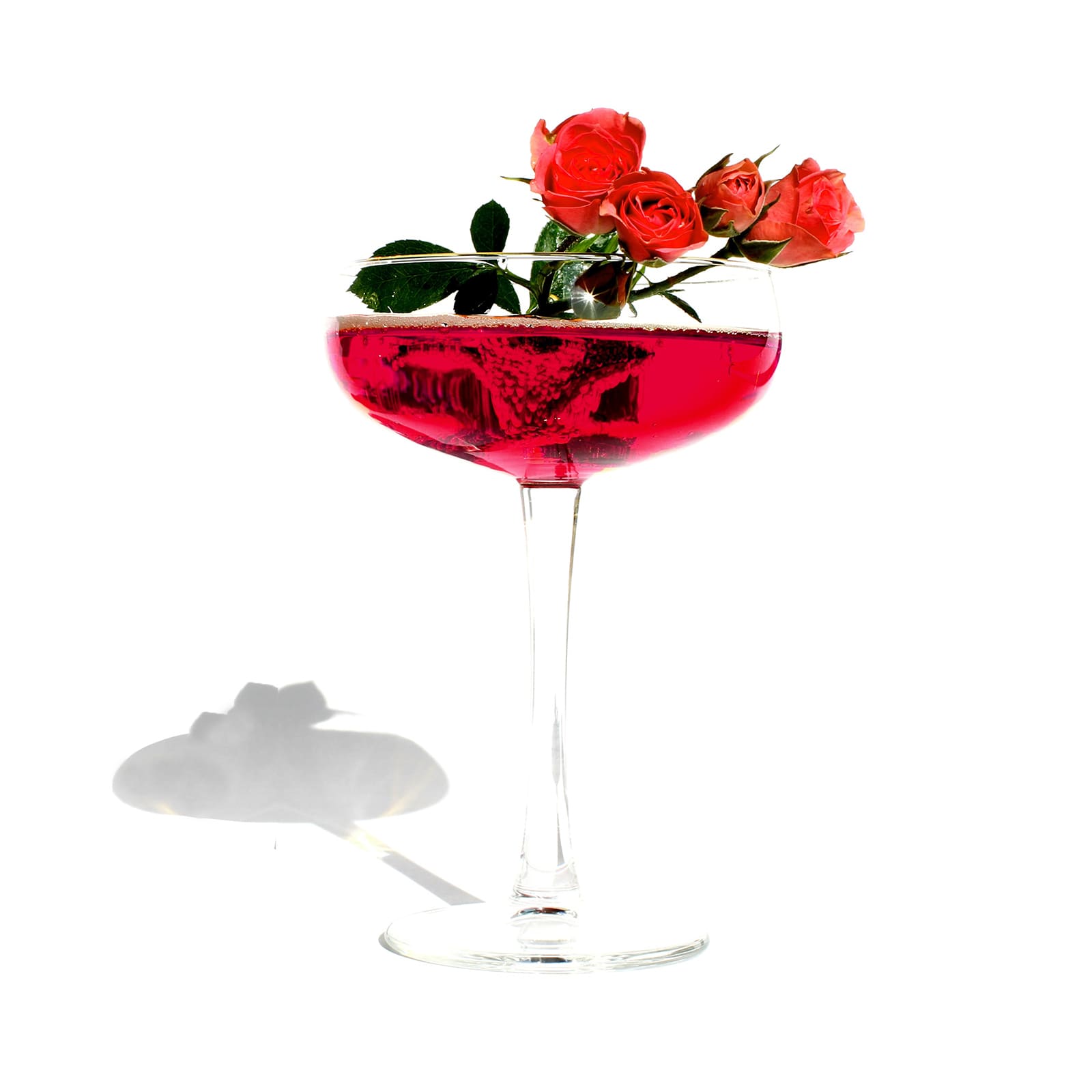 Curious Elixir No. 9 Booze-Free Cocktails (Copy) - TEST